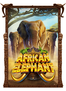 พิชิตชัยชนะในสล็อต 585: วิธีเล่นและเทคนิคสำคัญ